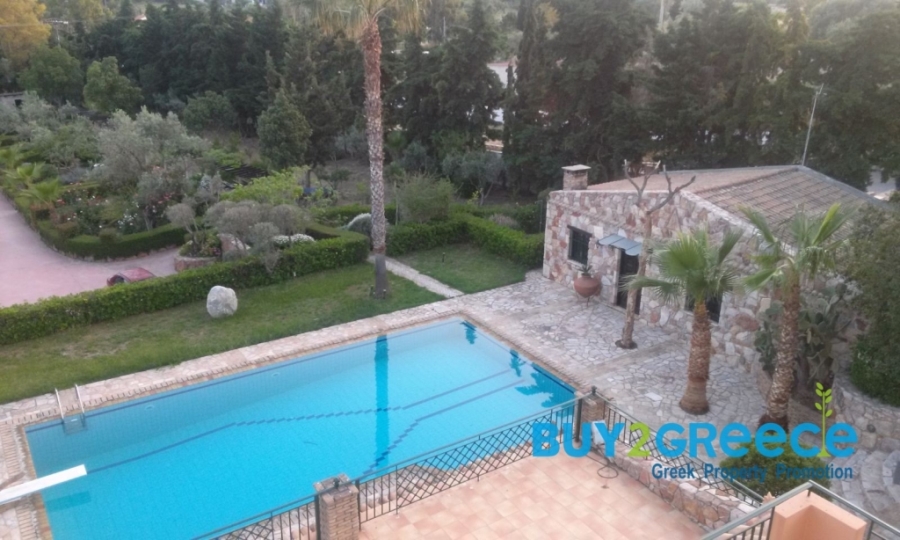 (For Sale) Residential Villa || East Attica/Markopoulo Mesogaias - 780 Sq.m, 10 Bedrooms, 1.200.000€ ||| ID :1593258-7