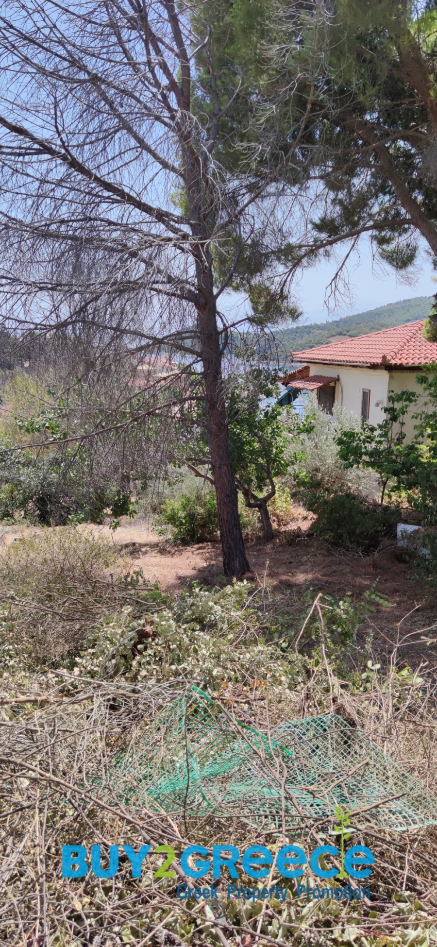 (For Sale) Land Plot || Fokida/Efpalio - 485 Sq.m, 110.000€ ||| ID :1595681