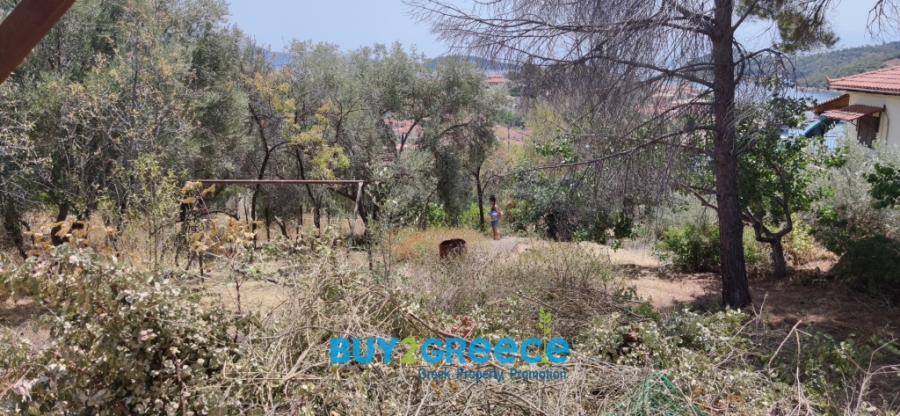 (For Sale) Land Plot || Fokida/Efpalio - 485 Sq.m, 110.000€ ||| ID :1595681-2