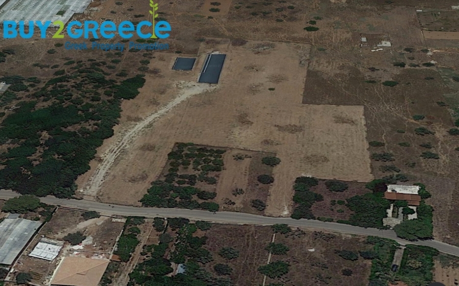 (For Sale) Land Agricultural Land  || East Attica/Koropi - 13.600 Sq.m, 650.000€ ||| ID :1596783