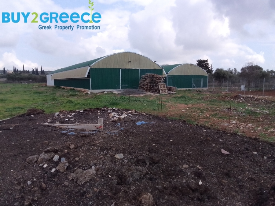 (For Sale) Land Agricultural Land  || East Attica/Koropi - 13.600 Sq.m, 650.000€ ||| ID :1596783-2