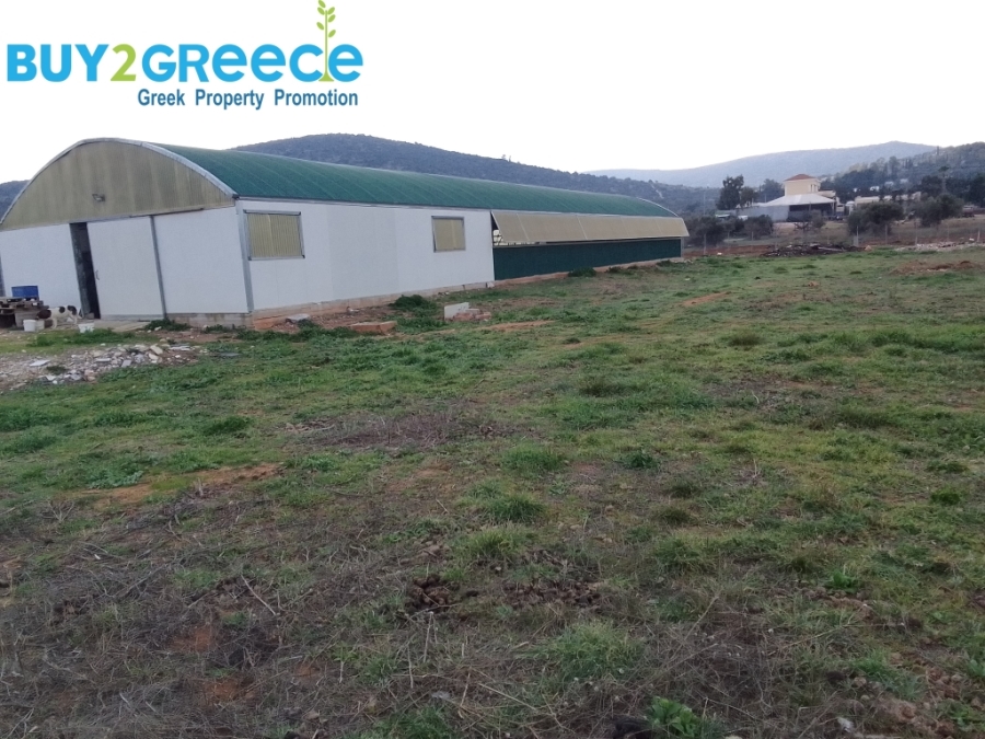 (For Sale) Land Agricultural Land  || East Attica/Koropi - 13.600 Sq.m, 650.000€ ||| ID :1596783-3