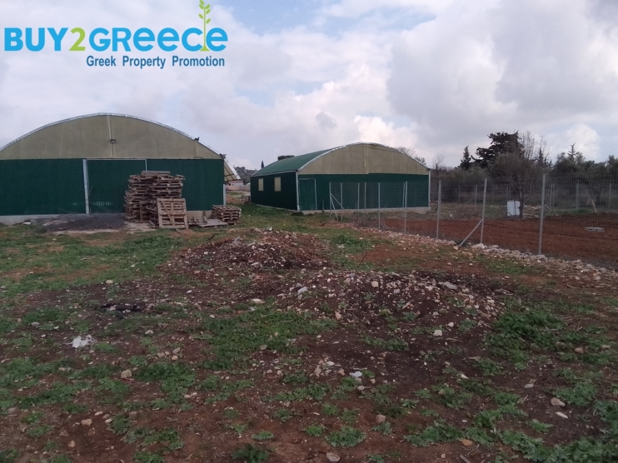 (For Sale) Land Agricultural Land  || East Attica/Koropi - 13.600 Sq.m, 650.000€ ||| ID :1596783-4