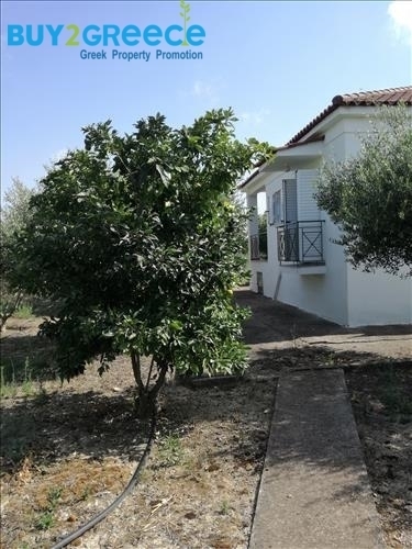 (For Sale) Residential Detached house || Ileias/Archaia Olympia - 68 Sq.m, 2 Bedrooms, 84.000€ ||| ID :1601301