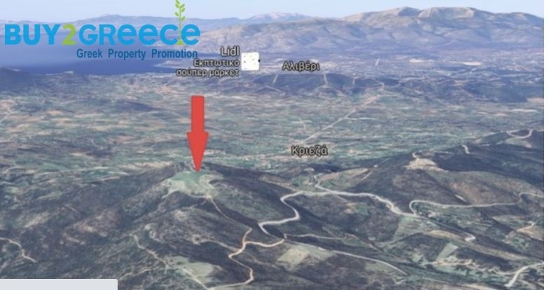 (For Sale) Land Plot || Evoia/Kymi - 25.000 Sq.m, 40.000€ ||| ID :1610918-4