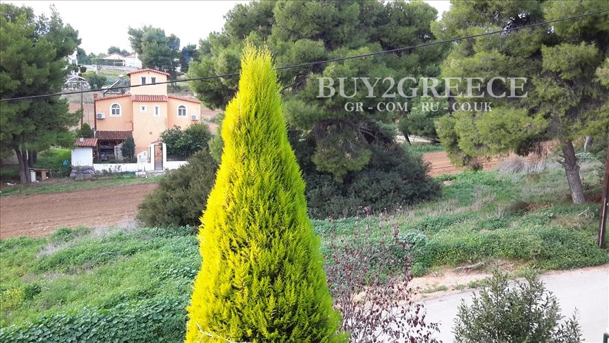 (For Sale) Residential Detached house || Voiotia/Tanagra - 197 Sq.m, 4 Bedrooms, 300.000€ ||| ID :441119-7