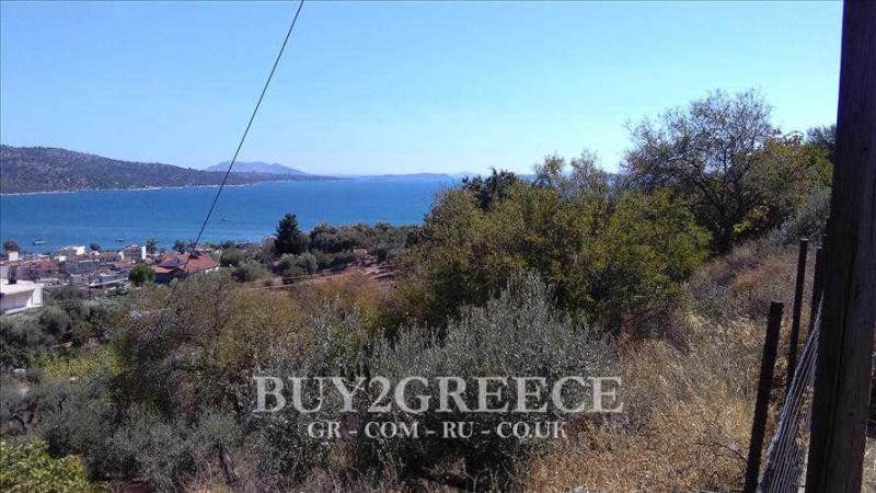 (For Sale) Land Agricultural Land  || Aitoloakarnania/Astakos - 1.400 Sq.m, 120.000€ ||| ID :483592-2