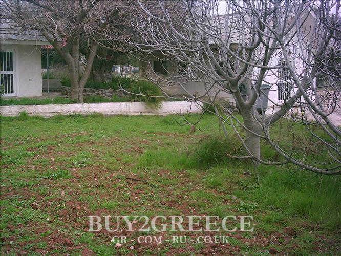 (For Sale) Land Plot || Evoia/Eretreia - 5.000 Sq.m, 125.000€ ||| ID :494366-11