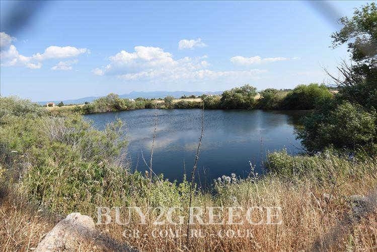 (For Sale) Land Agricultural Land  || Lesvos/Kalloni - 33.000 Sq.m, 220.000€ ||| ID :497967-1