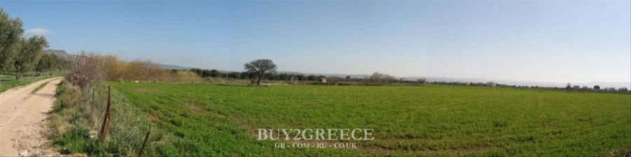 (For Sale) Land Agricultural Land  || Lesvos/Kalloni - 33.000 Sq.m, 220.000€ ||| ID :497967-3