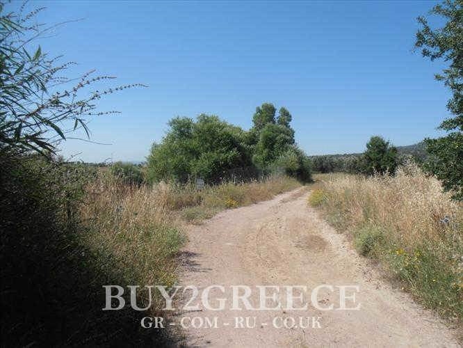 (For Sale) Land Agricultural Land  || Lesvos/Kalloni - 33.000 Sq.m, 220.000€ ||| ID :497967-4