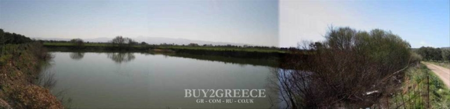 (For Sale) Land Agricultural Land  || Lesvos/Kalloni - 33.000 Sq.m, 220.000€ ||| ID :497967-5