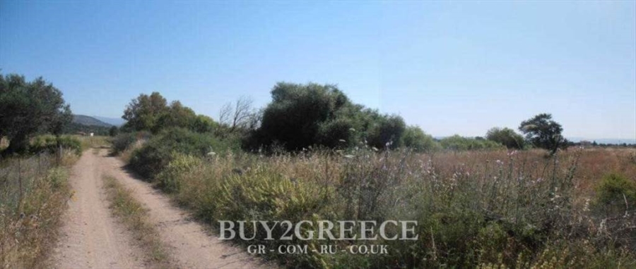 (For Sale) Land Agricultural Land  || Lesvos/Kalloni - 33.000 Sq.m, 220.000€ ||| ID :497967-6