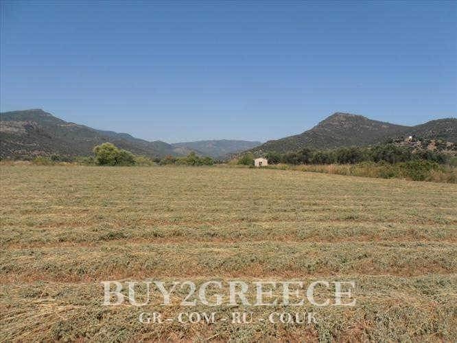 (For Sale) Land Agricultural Land  || Lesvos/Kalloni - 33.000 Sq.m, 220.000€ ||| ID :497967-7