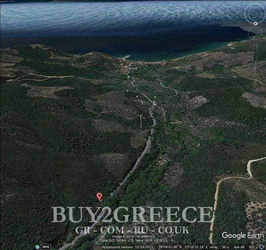 (For Sale) Land Agricultural Land  || Magnisia/Pilio-Sipiada - 5.000 Sq.m, 85.000€ ||| ID :532435-12