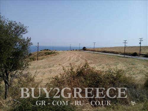 (For Sale) Land Agricultural Land  || Chalkidiki/Stageira - 9.000 Sq.m, 500.000€ ||| ID :545471-10