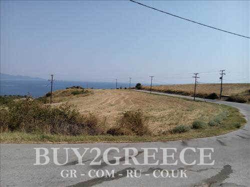 (For Sale) Land Agricultural Land  || Chalkidiki/Stageira - 9.000 Sq.m, 500.000€ ||| ID :545471-3