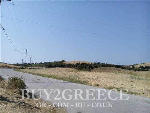 (For Sale) Land Agricultural Land  || Chalkidiki/Stageira - 9.000 Sq.m, 500.000€ ||| ID :545471-4