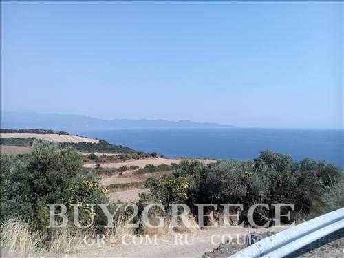 (For Sale) Land Agricultural Land  || Chalkidiki/Stageira - 9.000 Sq.m, 500.000€ ||| ID :545471-7