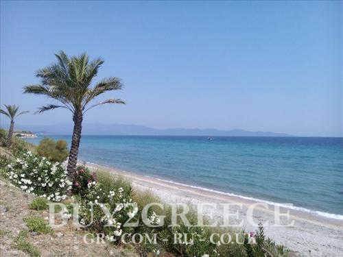 (For Sale) Land Agricultural Land  || Chalkidiki/Stageira - 9.000 Sq.m, 500.000€ ||| ID :545471-8