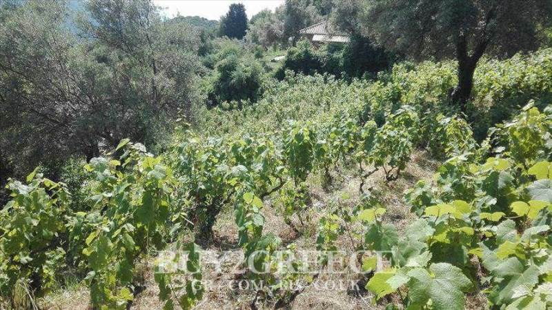 (For Sale) Land Plot || Lefkada/Lefkada Chora - 1.500 Sq.m, 75.000€ ||| ID :565110