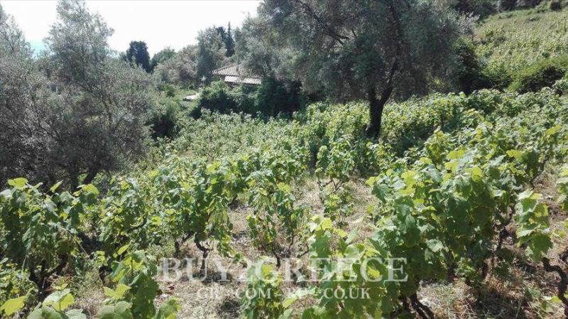 (For Sale) Land Plot || Lefkada/Lefkada Chora - 1.500 Sq.m, 75.000€ ||| ID :565110-2