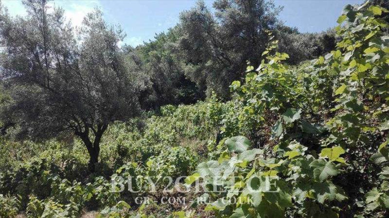 (For Sale) Land Plot || Lefkada/Lefkada Chora - 1.500 Sq.m, 75.000€ ||| ID :565110-3