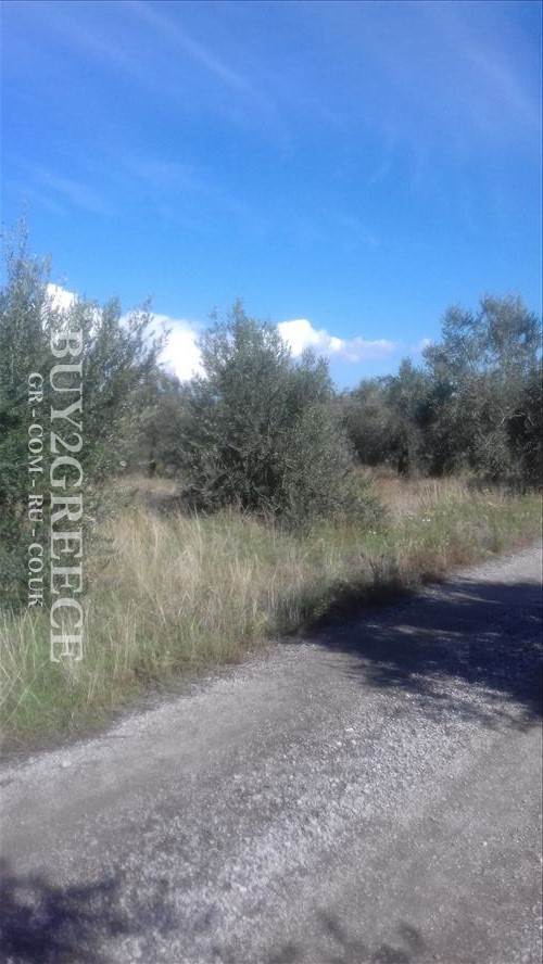 (For Sale) Land Plot || Fthiotida/Molos - 2.000 Sq.m, 70.000€ ||| ID :619572-2