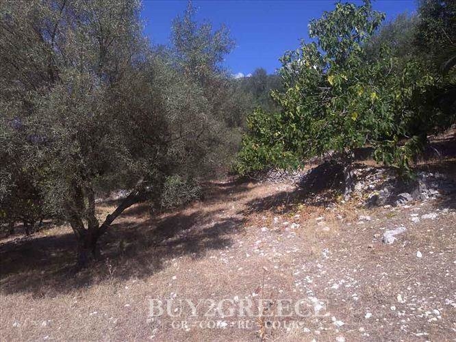 (For Sale) Land Plot || Lefkada/Lefkada Chora - 2.270 Sq.m, 80.000€ ||| ID :620990-3