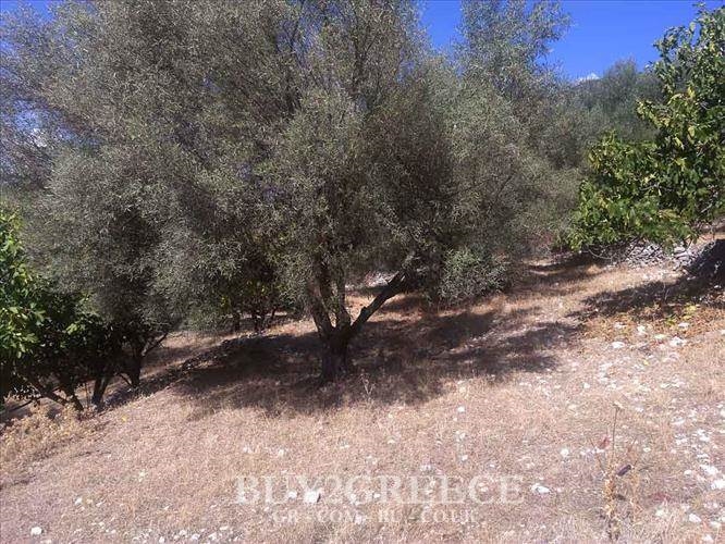 (For Sale) Land Plot || Lefkada/Lefkada Chora - 2.270 Sq.m, 80.000€ ||| ID :620990-4