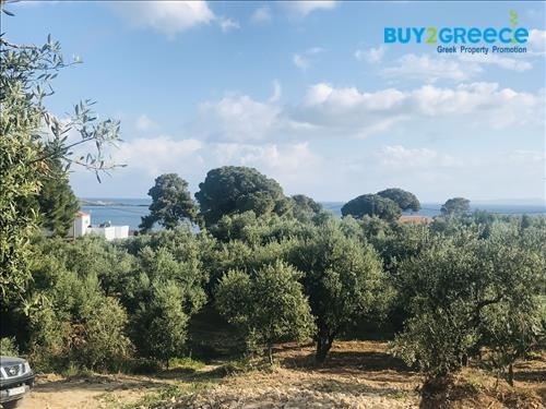 (For Sale) Land Plot || Zakynthos (Zante)/Zante Chora - 6.000 Sq.m, 450.000€ ||| ID :658377-2