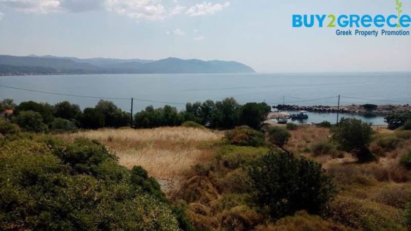 (For Sale) Land Plot || Lesvos/Plomari - 3.373 Sq.m, 150.000€ ||| ID :672501-9