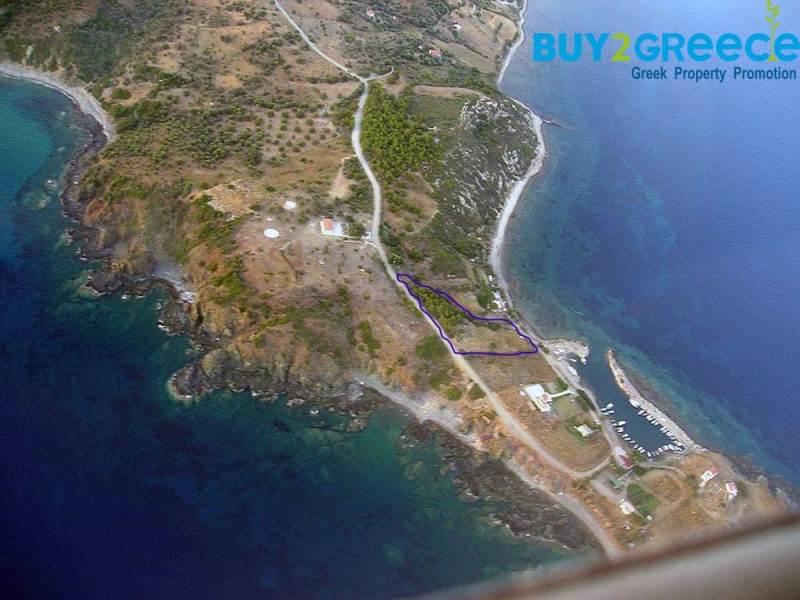 (For Sale) Land Plot || Lesvos/Plomari - 3.373 Sq.m, 150.000€ ||| ID :672501-1