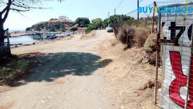 (For Sale) Land Plot || Lesvos/Plomari - 3.373 Sq.m, 150.000€ ||| ID :672501-3