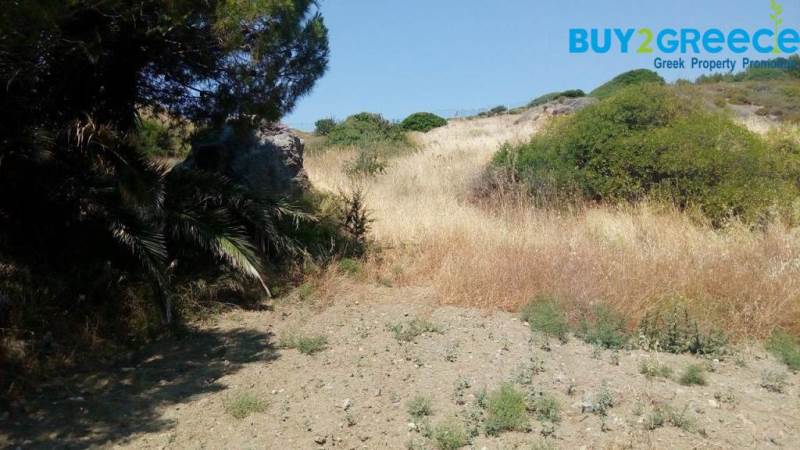 (For Sale) Land Plot || Lesvos/Plomari - 3.373 Sq.m, 150.000€ ||| ID :672501-5