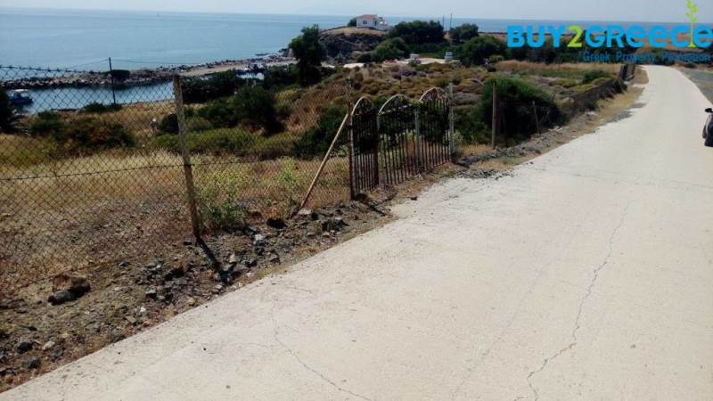 (For Sale) Land Plot || Lesvos/Plomari - 3.373 Sq.m, 150.000€ ||| ID :672501-6