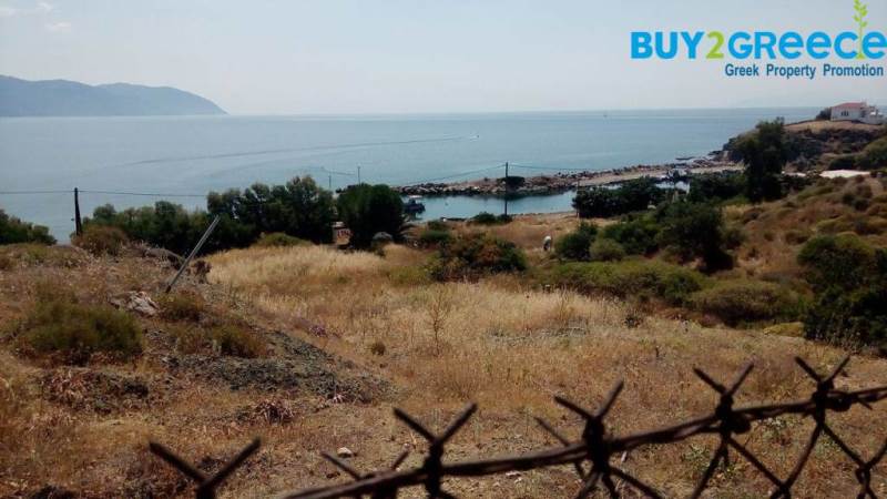 (For Sale) Land Plot || Lesvos/Plomari - 3.373 Sq.m, 150.000€ ||| ID :672501-8