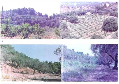 (For Sale) Land Plot wIthin Settlement || Ileias/Archaia Olympia - 100.000 Sq.m, 550.000€ ||| ID :677309