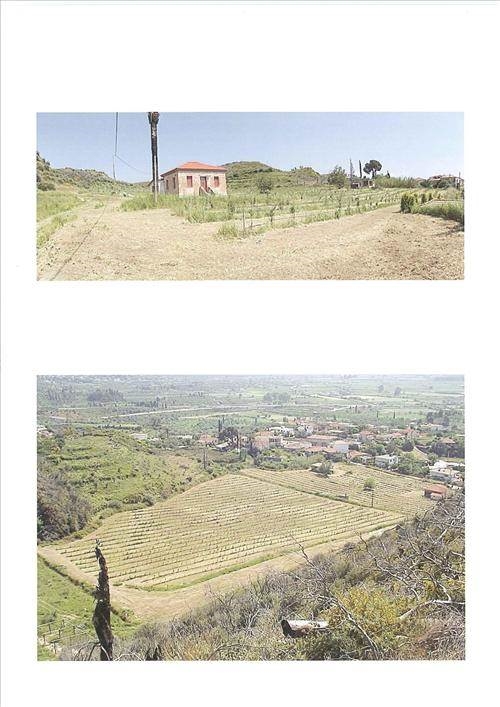 (For Sale) Land Plot wIthin Settlement || Ileias/Archaia Olympia - 100.000 Sq.m, 550.000€ ||| ID :677309-7