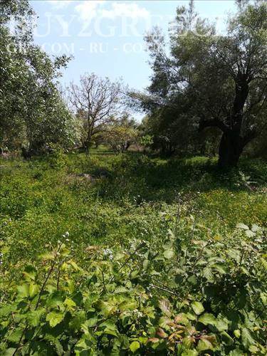 (For Sale) Land Plot wIthin Settlement || Lefkada/Lefkada Chora - 1.100 Sq.m, 270.000€ ||| ID :679714-2