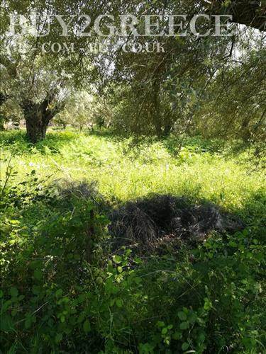 (For Sale) Land Plot wIthin Settlement || Lefkada/Lefkada Chora - 1.100 Sq.m, 270.000€ ||| ID :679714-6