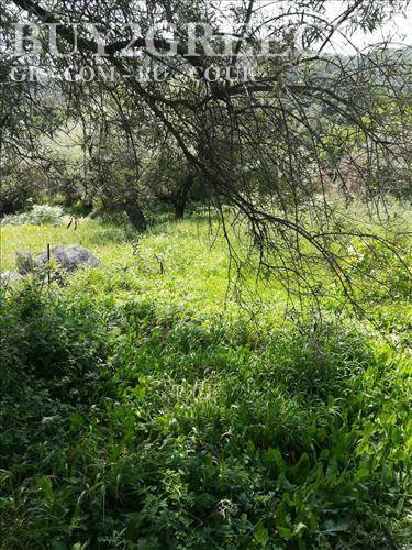 (For Sale) Land Plot wIthin Settlement || Lefkada/Lefkada Chora - 1.100 Sq.m, 270.000€ ||| ID :679714-7