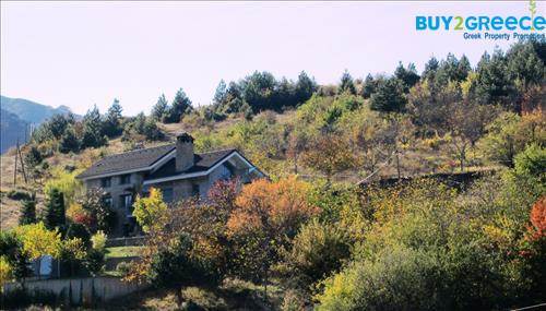 (For Sale) Residential Villa || Grevena/Grevena - 280 Sq.m, 1 Bedrooms, 650.000€ ||| ID :680540-2