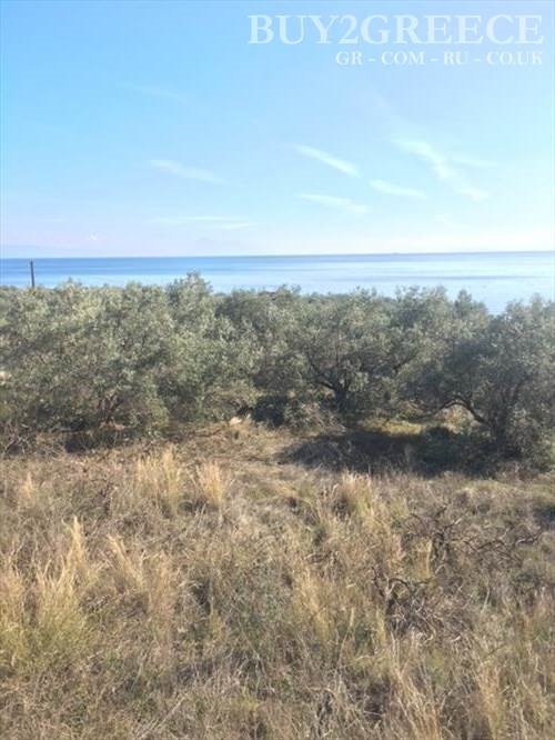 (For Sale) Land Plot || Evoia/Lichada - 2.000 Sq.m, 150.000€ ||| ID :680937-13