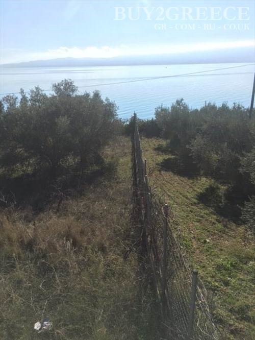 (For Sale) Land Plot || Evoia/Lichada - 2.000 Sq.m, 150.000€ ||| ID :680937-6