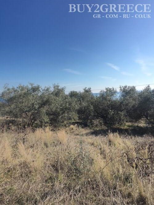 (For Sale) Land Plot || Evoia/Lichada - 2.000 Sq.m, 150.000€ ||| ID :680937-8