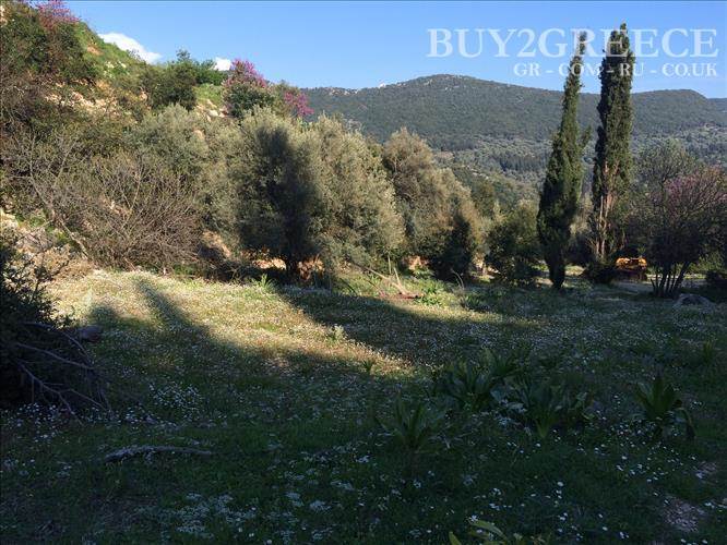 (For Sale) Land Plot || Lefkada/Ellomenos - 6.459 Sq.m, 250.000€ ||| ID :683534-5