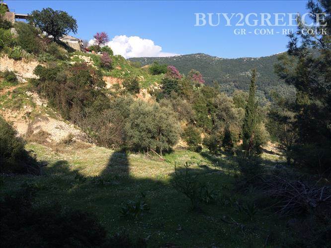 (For Sale) Land Plot || Lefkada/Ellomenos - 6.459 Sq.m, 250.000€ ||| ID :683534-8
