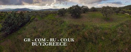 (For Sale) Land Plot wIthin Settlement || Evoia/Distos - 847 Sq.m, 32.000€ ||| ID :691865-9