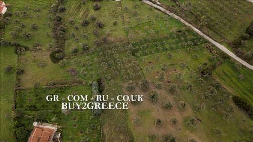 (For Sale) Land Plot wIthin Settlement || Evoia/Distos - 847 Sq.m, 32.000€ ||| ID :691865-6